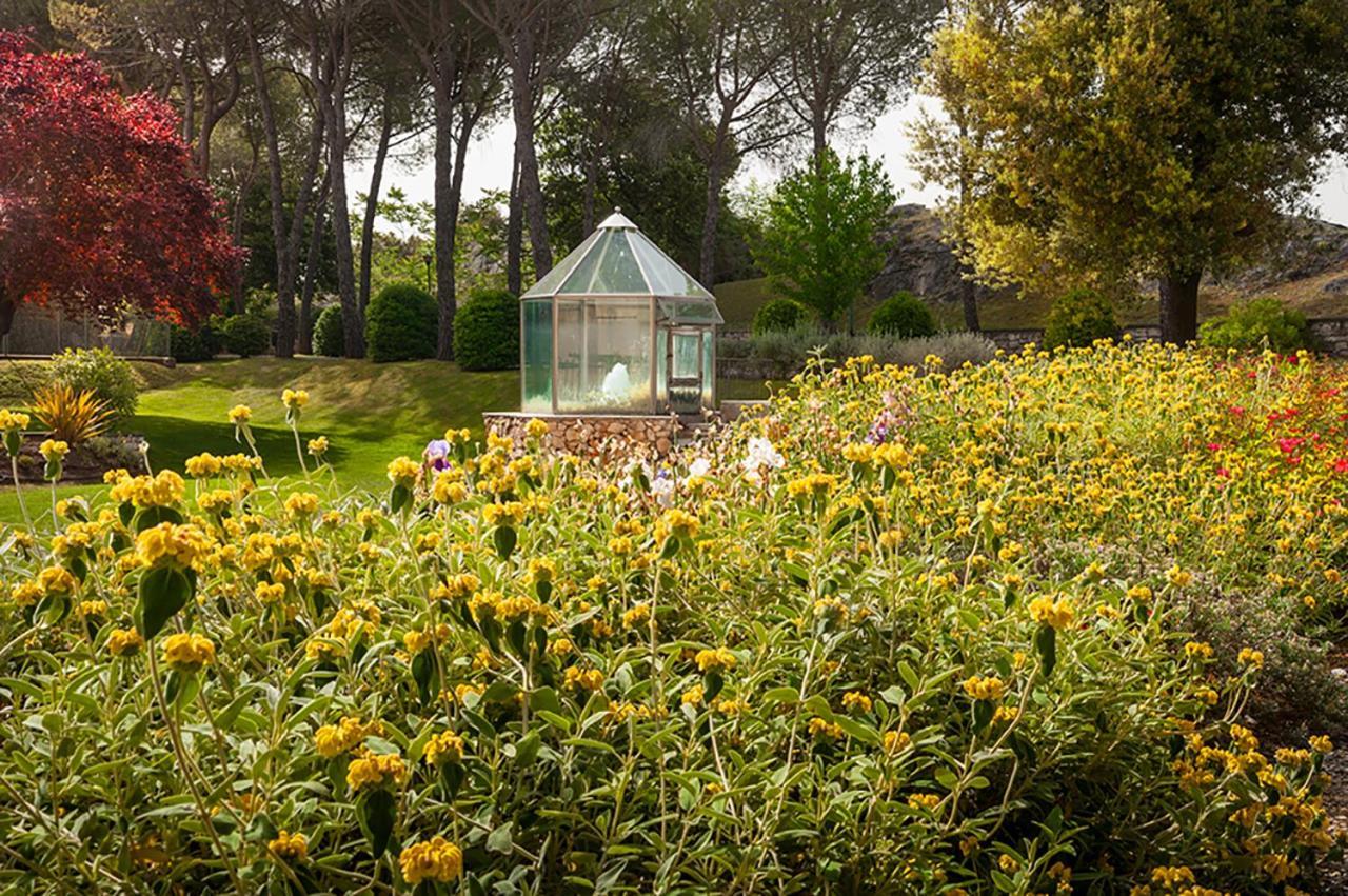 San Giovanni Terme Rapolano Rapolano Terme Luaran gambar